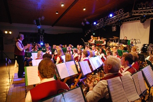 Frühlingskonzert 2010: Musikverein Sommersell