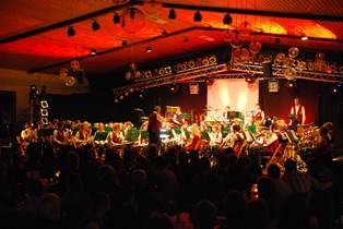 Frühlingskonzert 2010: Musikverein Sommersell