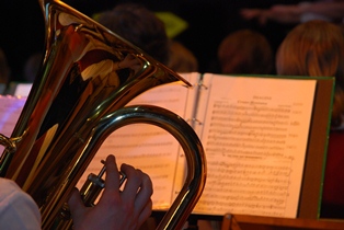 Barriton und Euphonium - Musikverein Sommersell e.V.